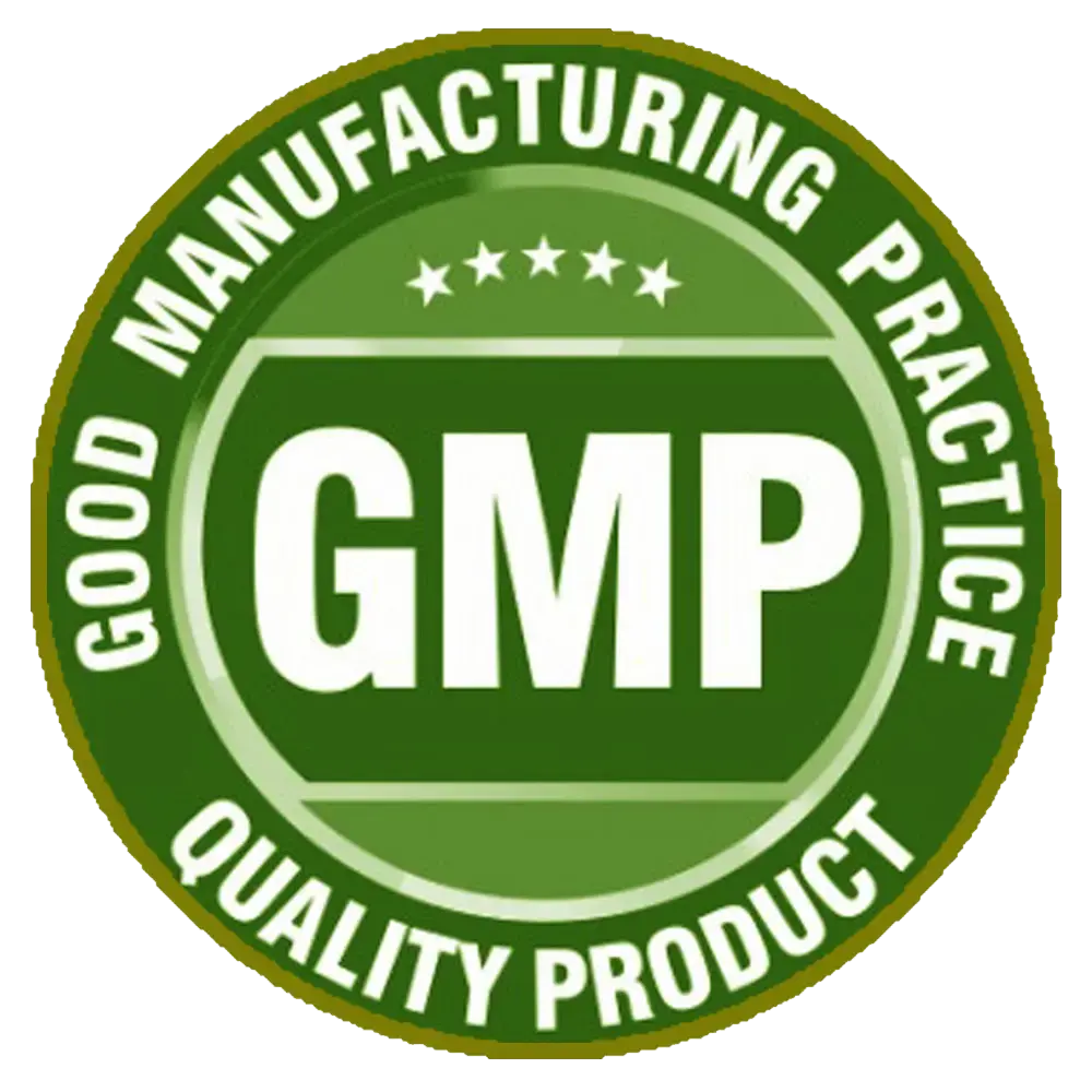 GMP Good Manufacturing Practice